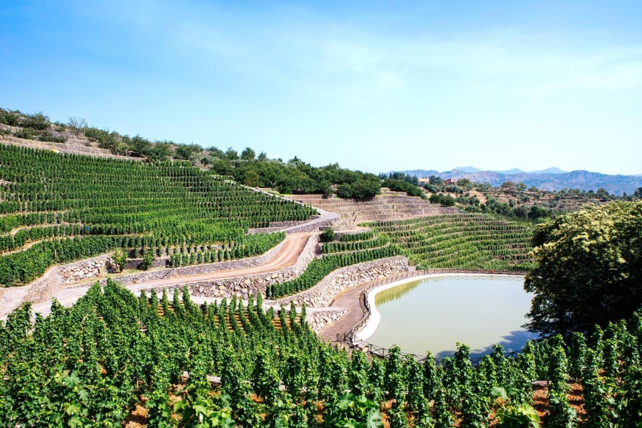 La Gelsomina - Etna Farm stay Presa