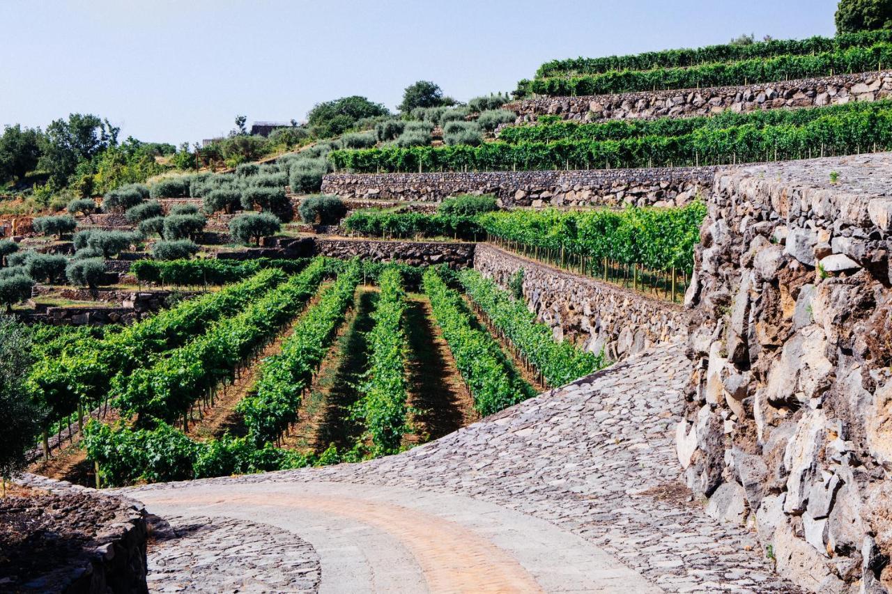 La Gelsomina - Etna
