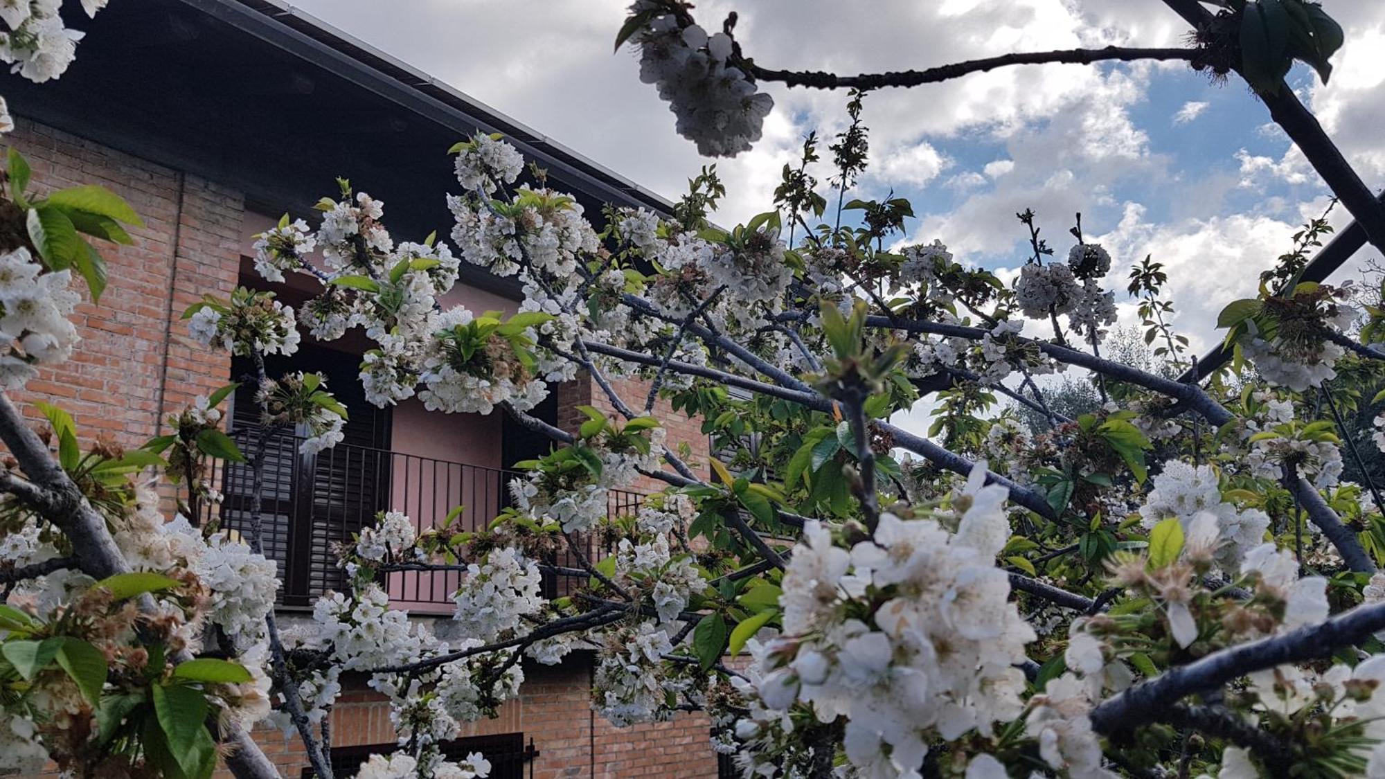 La Gelsomina - Etna Farm stay *