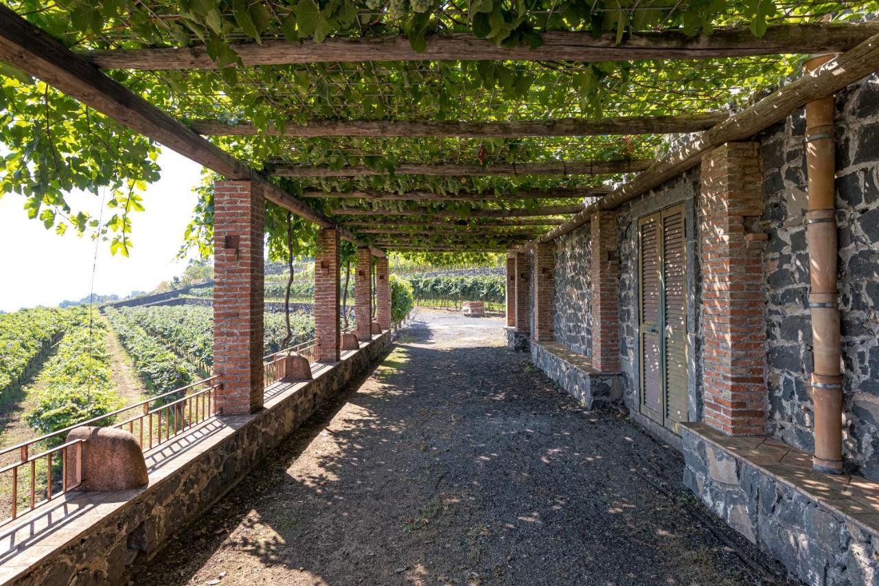 La Gelsomina - Etna Farm stay