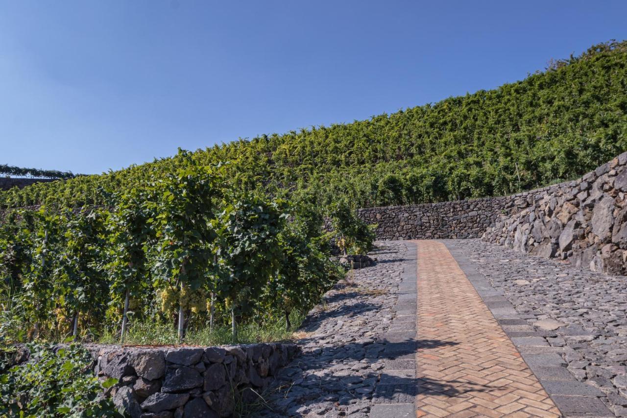 La Gelsomina - Etna Presa
