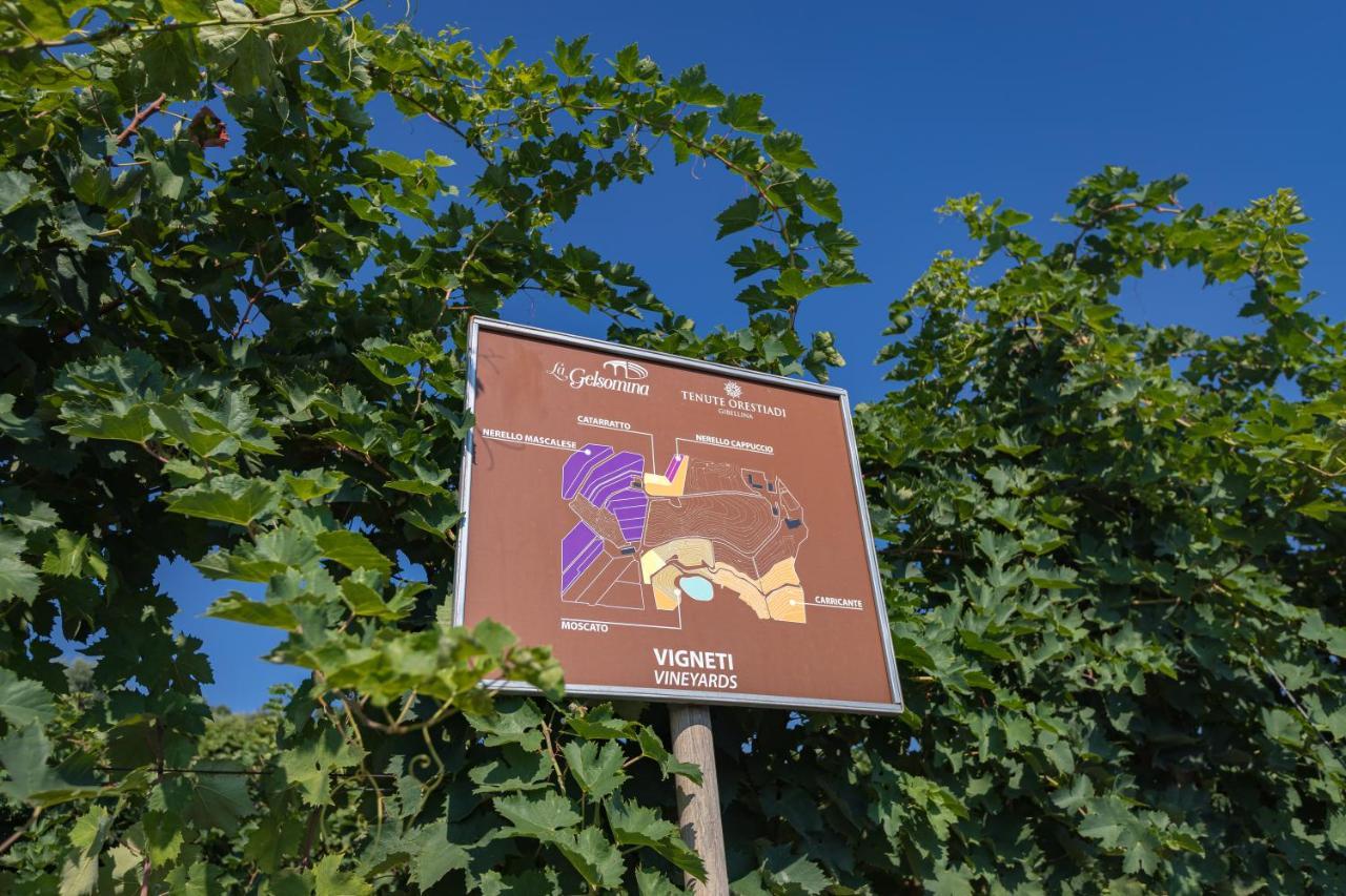 La Gelsomina - Etna Bauernhof Presa